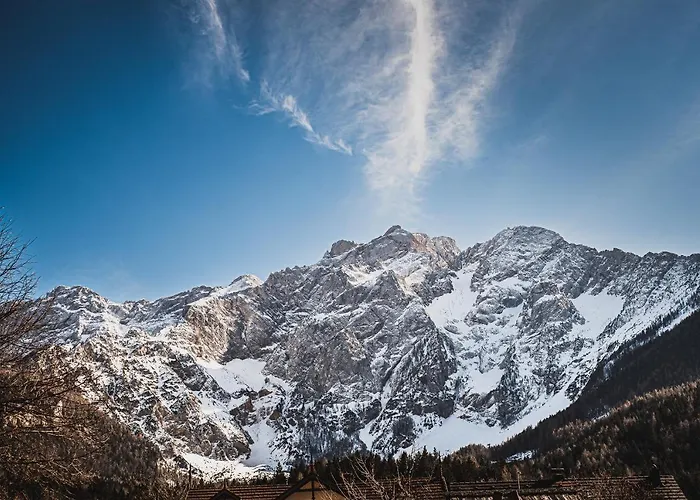 Center * زغورنجي جيزرسكو